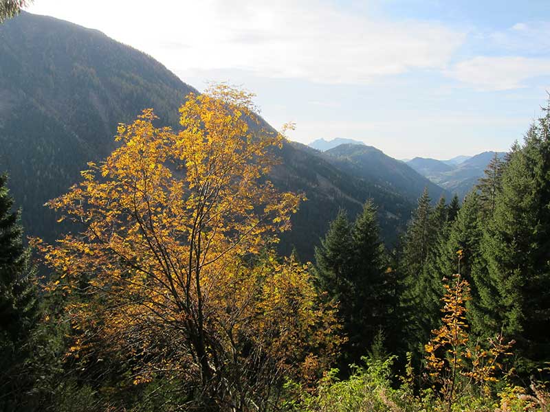 Schuettkogel